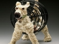 \"There was a Famer Who Had a Dog\"